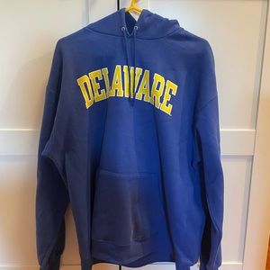 champion UNIV OF DELAWARE hoodie
